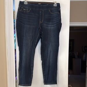 Nine West Blue Skinny Jeans Modern Fit